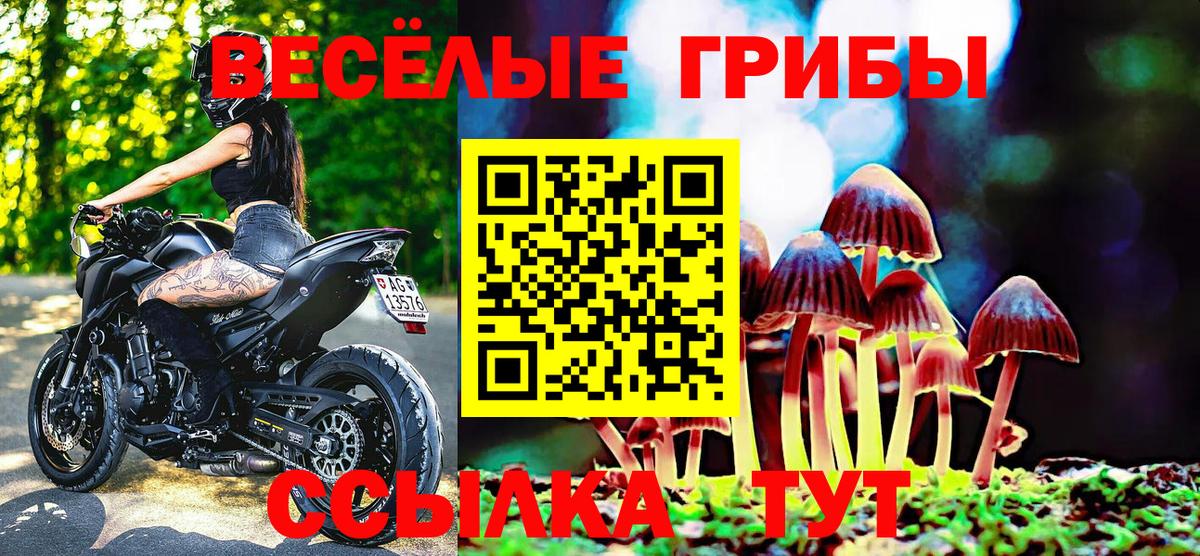 цена   Полевской  Псилоцибиновые грибы ЛСД 